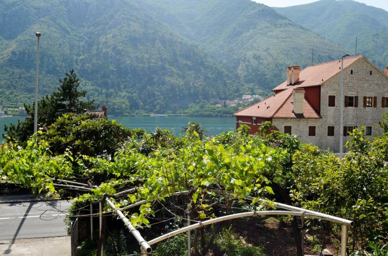 Apartments Nik Kotor Eksteriør billede